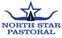 North Star Pastoral.jpg